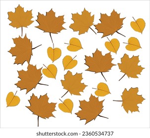Fall leaves isolated on white background collection. Orange maple leaves pattern. Vector illustration.