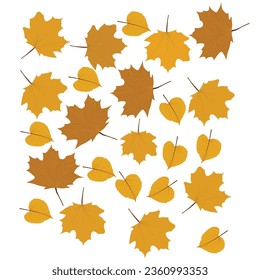 Fall leaves isolated on white background collection. Orange maple leaves pattern. Vector illustration.