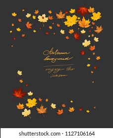 Fall leaves on dark frame