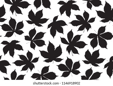Fall leaves seamless pattern. Vector illustration for stylish background, textile, card, banner, wrapping paper design. Black and white colors.