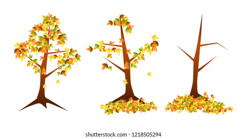 Fall leaves season with autumn tree set vector.