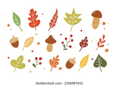 Fall leaves set. Vector Autumn Thanksgiving elements on white background.