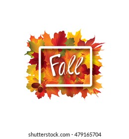 Fall leaves sign. Autumn leaf frame. Nature symbol with Fall lettering isolated over white background.