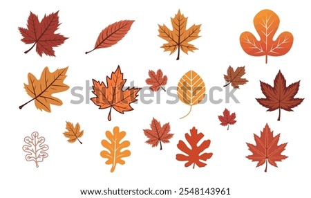 Fall Leaves Silhouette bundle, Fall Leaves icon Set.