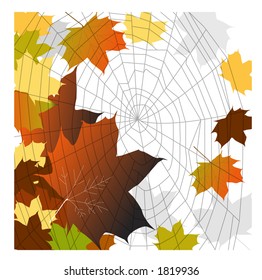 fall leaves spiderweb