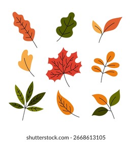 Fall leaves vector set. Autumn leaf clipart, flat doodle illustrations. Colorful hand drawn botanical collection. Yellow, green and red colors.
