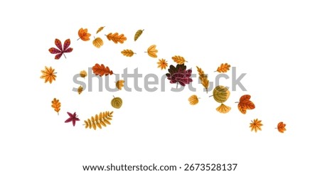 Fall leaves whirl wind. Autumn tree leaf spinning in air, swirl, twirl and vortex motion, dynamic movement. Forest foliage, spiral helix pattern. Flat vector illustration isolated on white background