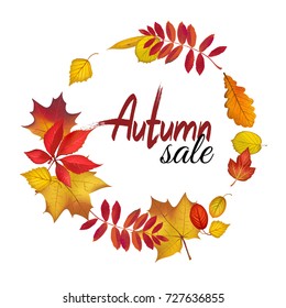 Fall leaves wreath for autumn sale design. Autumn lettering. Vector illustration.