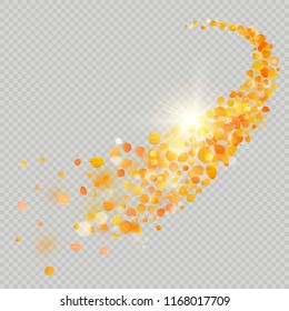 Fall maple leaves with delicate sun for decoration. Autumn leaves border template. Design element. EPS 10