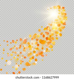 Fall maple leaves with delicate sun for decoration. Autumn leaves border template. Design element. EPS 10