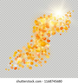 Fall maple leaves with delicate sun for decoration. Autumn leaves border template. Design element. EPS 10
