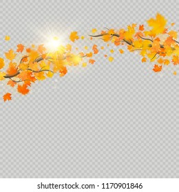 Fall maple leaves with delicate sun for decoration. Autumn leaves border template. Design element. EPS 10