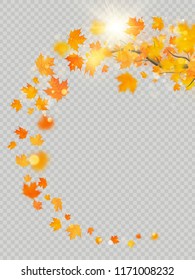 Fall maple leaves frame with delicate sun for decoration. Autumn leaves border template. Design element. EPS 10