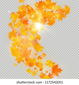 Fall maple leaves frame with delicate sun for decoration. Autumn leaves border template. Design element. EPS 10