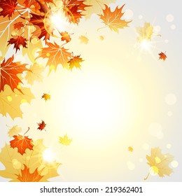 Fall maple leaves on sunny light background. Vector illustration