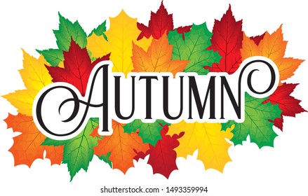 fall maple leaves with the word Autumn in front, Autumn sign, foliage design, Autumn logo