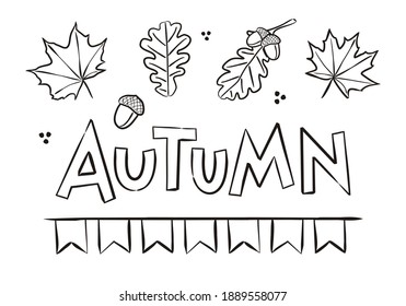 Fall Maple And Oak Leaves, Acorns. Autumn Coloring. Elements For Seasonal Calendar. Hand-drawn Doodle Objects Isolated On White Background. Vector Illustration