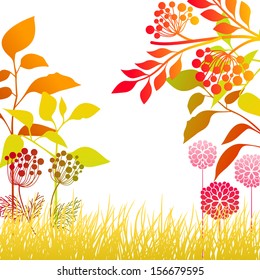 Fall meadow