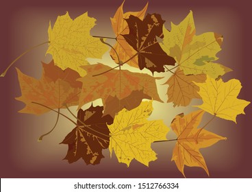 The fall mood-a collage set of colored maple leaves, in a backlight