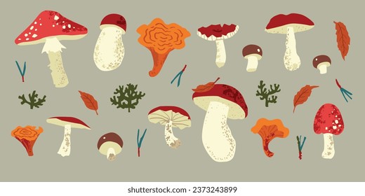 Fall mushrooms set. Vector botanical illustration