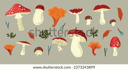 Fall mushrooms set. Vector botanical illustration
