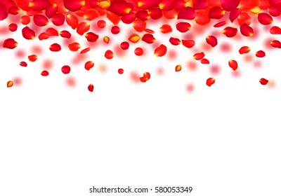 Download Free Roses Petals Falling Off Roses Gallery SVG Cut Files