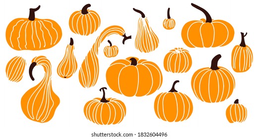 Fall orange pumpkins of different sizes isolated on white background. Flat lay. Vector illustration