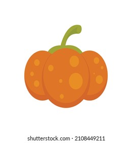 Fall pumpkin icon. Flat illustration of fall pumpkin vector icon isolated on white background