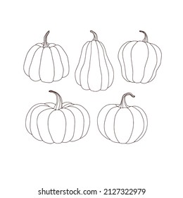 Fall Pumpkin kitchen garden harvest colouring page vector illustration set isolated on white. Boho autumn farm vegetable print collection.