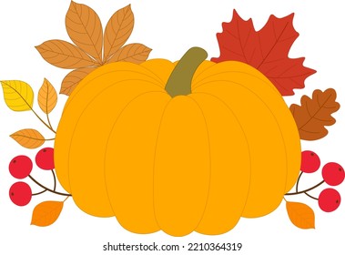 Fall pumpkin leaves card vector illustration