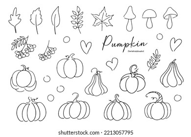 Fall pumpkin with leaves and mushrooms doodle vector set hand drawn simple sketch in black line