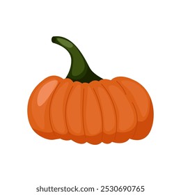 Fall Pumpkin,Orange pumpkin on a white background. Autumn Harvest Icon Symbol Vector Illustration Background