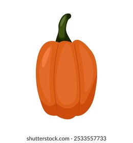 Fall Pumpkin,Orange pumpkin on a white background. Autumn Harvest Icon Symbol Vector Illustration Background