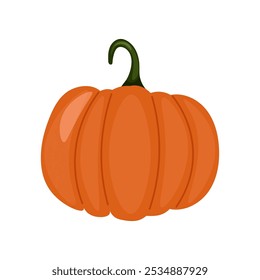 Fall Pumpkin,Orange pumpkin on a white background. Autumn Harvest Icon Symbol Vector Illustration Background