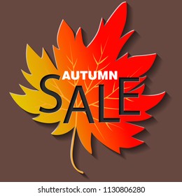 Fall sale background design with colorful paper cut autumn leaves. Vector illustration EPS10