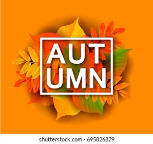 Fall sale background design with colorful autumn leaves. Vector illustration