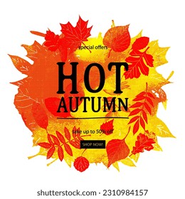 Fall sale card design. Autumnal banner. Leaves, isolated on white background. Hello autumn sales. Calligraphic text, handwritten