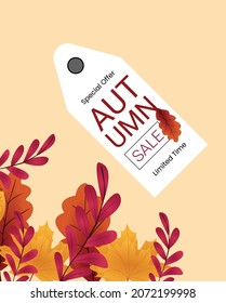 Fall sale design. Autumn discount Abstract Autumn Sale  with Falling Autumn Leaves Vector.
