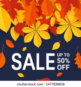 Fall sale promotion design with vibrant leaves. Vector template for advertising, web banners, posters, gift cards, etc.