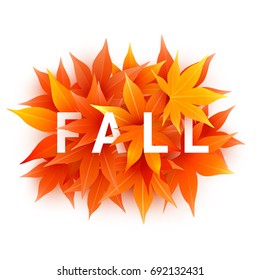 Fall sale. Realistic autumn maple leaves with text. Momiji. Vector illustration isolated on white.