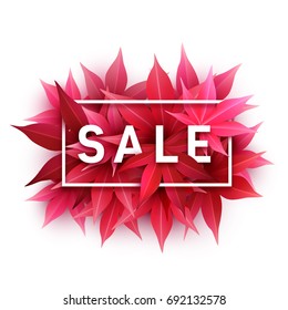 Fall sale. Realistic autumn maple leaves with text. Momiji. Vector illustration isolated on white.