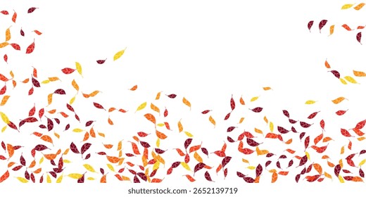 Fall scattered dry leaves vector design. Scarlet yellow brown shades dry autumn leaves magical botanical background. Blissful tree foliage organic illustration.