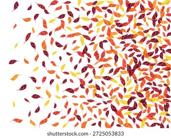 Fall scattered dry leaves vector design. Scarlet orange brown colors dry autumn leaves charming forest theme backdrop. Cascading tree foliage natural illustration.