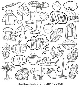 Fall Season Autumn Doodle Icons Hand Made Vector Illustration Sketch.