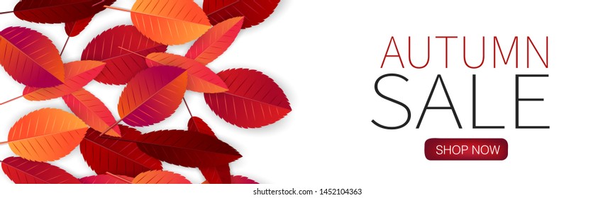 Fall season banner or header background with red and orange leaves.  Autumn sale typography text for advetising, shopping promotion. Vector illustration.