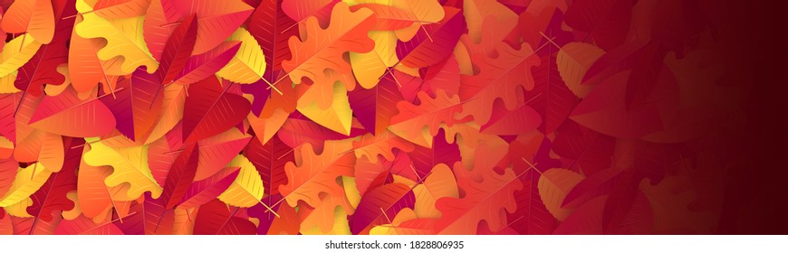 Fall season banner or header background with red and orange leaves.  Autumn sale typography text for advetising, shopping promotion. Vector illustration.