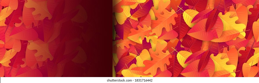 Fall season banner or header background with red and orange leaves.  Autumn sale typography text for advetising, shopping promotion. Vector illustration.