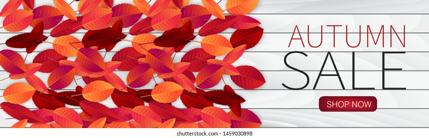 Fall season banner or header on wooden board background with red and orange leaves.  Autumn sale typography text for advetising, shopping promotion. Vector illustration.