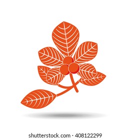 fall season design 