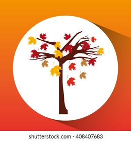 fall season design 